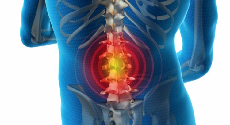 морской юрист